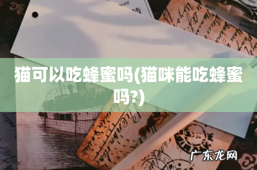 猫咪能吃蜂蜜吗? 猫可以吃蜂蜜吗