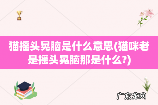 猫咪老是摇头晃脑那是什么? 猫摇头晃脑是什么意思