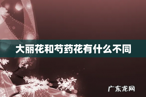 大丽花和芍药花有什么不同