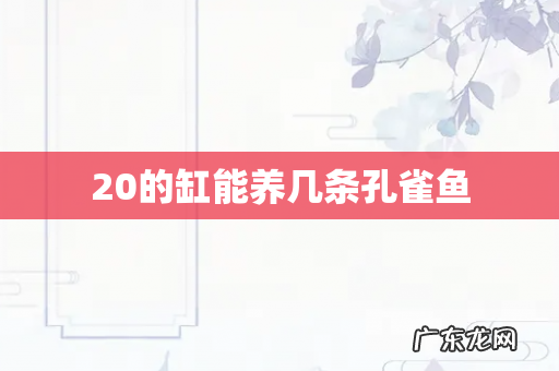 20的缸能养几条孔雀鱼