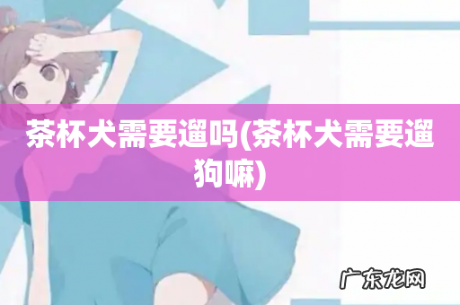 茶杯犬需要遛狗嘛 茶杯犬需要遛吗