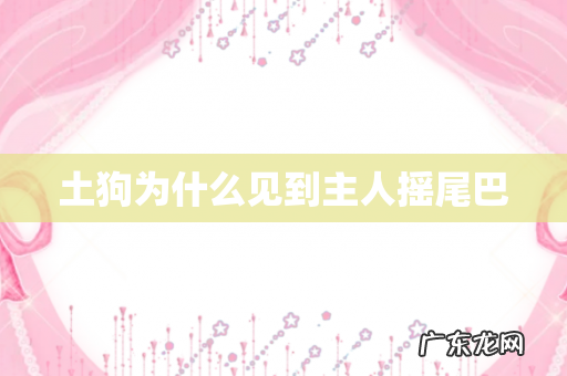 土狗为什么见到主人摇尾巴