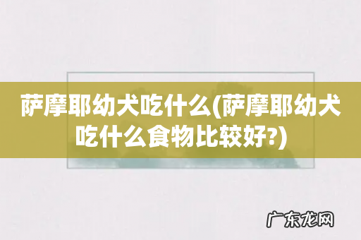 萨摩耶幼犬吃什么食物比较好? 萨摩耶幼犬吃什么