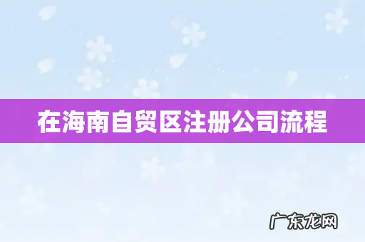 在海南自贸区注册公司流程