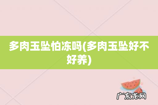 多肉玉坠好不好养 多肉玉坠怕冻吗