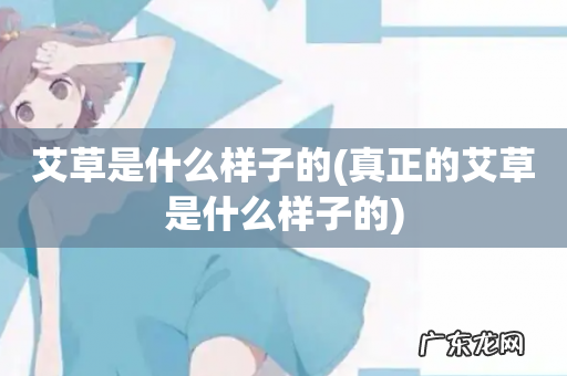 真正的艾草是什么样子的 艾草是什么样子的