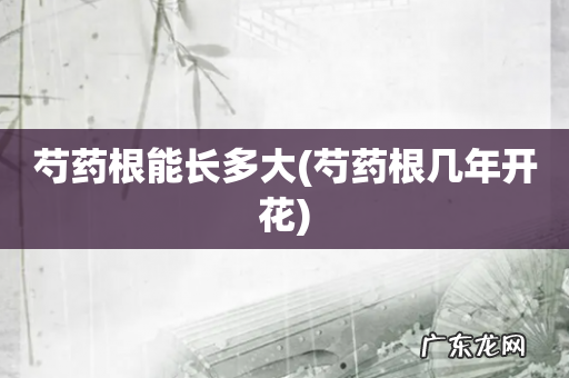 芍药根几年开花 芍药根能长多大