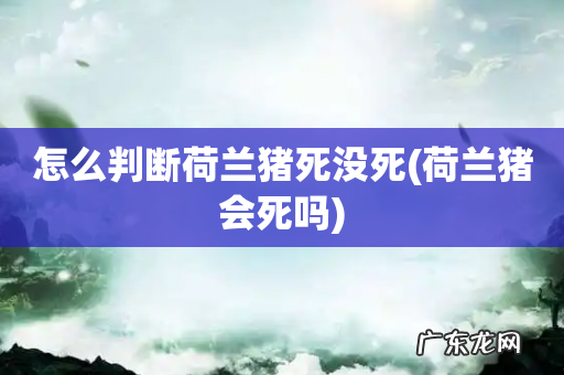荷兰猪会死吗 怎么判断荷兰猪死没死