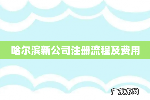 哈尔滨新公司注册流程及费用