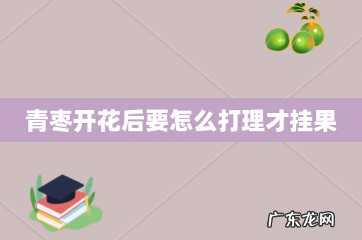 青枣开花后要怎么打理才挂果