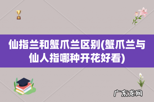 蟹爪兰与仙人指哪种开花好看 仙指兰和蟹爪兰区别