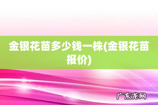 金银花苗报价 金银花苗多少钱一株