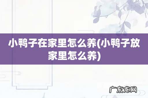 小鸭子放家里怎么养 小鸭子在家里怎么养