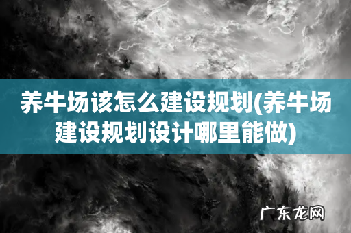 养牛场建设规划设计哪里能做 养牛场该怎么建设规划