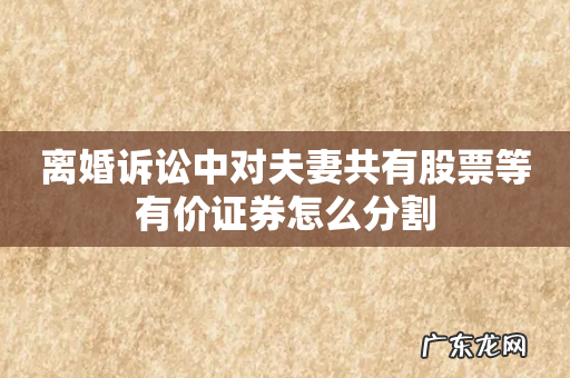 离婚诉讼中对夫妻共有股票等有价证券怎么分割