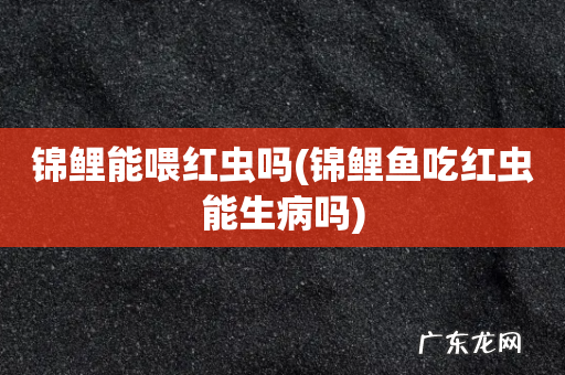 锦鲤鱼吃红虫能生病吗 锦鲤能喂红虫吗