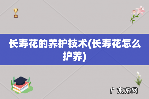 长寿花怎么护养 长寿花的养护技术