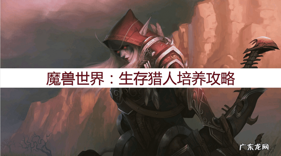 破解版守望者加速器 游戏守望者加速器怎么样