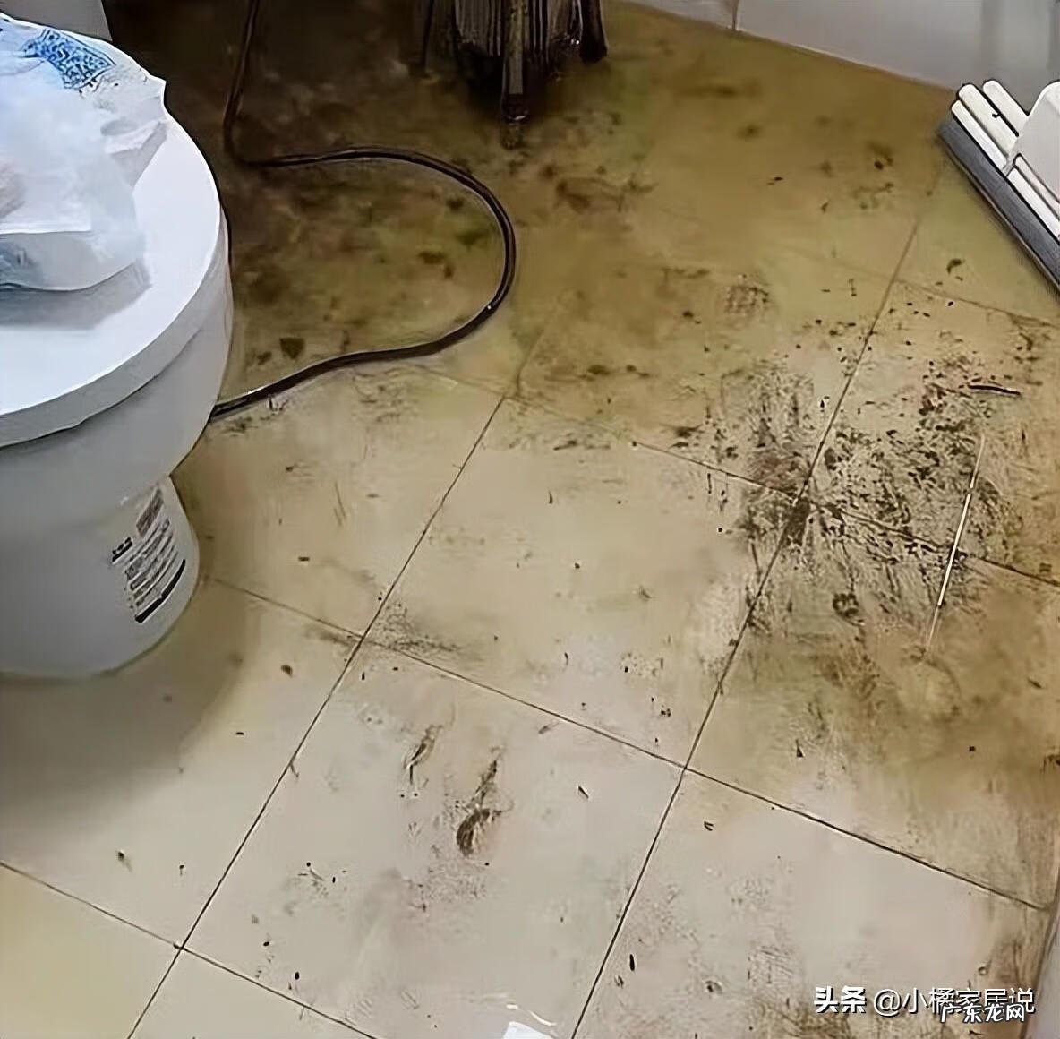 下水道管道 下水道疏通