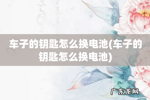 车子的钥匙怎么换电池 车子的钥匙怎么换电池
