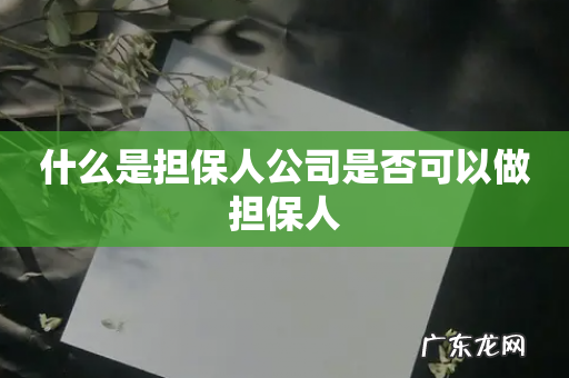 什么是担保人公司是否可以做担保人