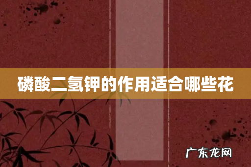 磷酸二氢钾的作用适合哪些花