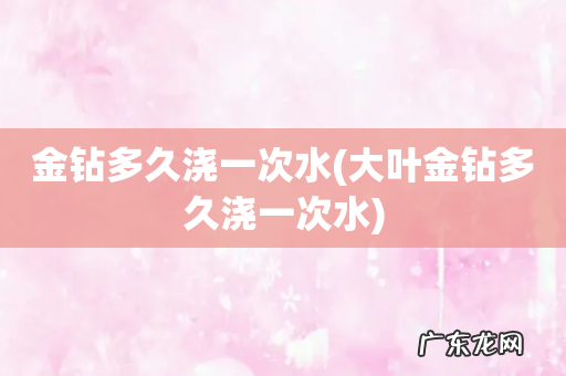 大叶金钻多久浇一次水 金钻多久浇一次水