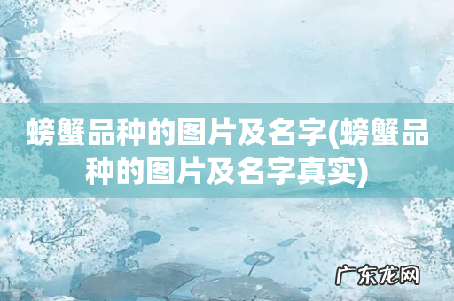 螃蟹品种的图片及名字真实 螃蟹品种的图片及名字