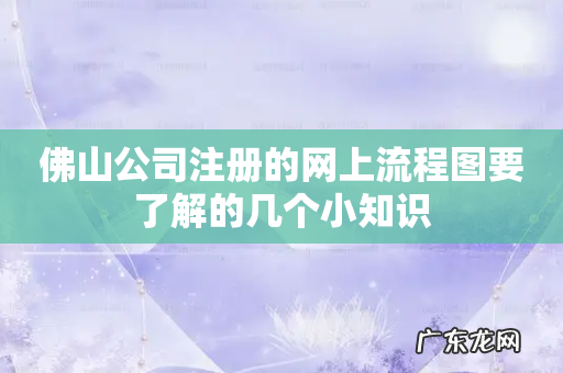 佛山公司注册的网上流程图要了解的几个小知识