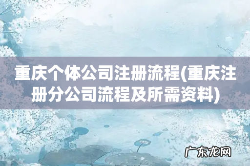 重庆注册分公司流程及所需资料 重庆个体公司注册流程