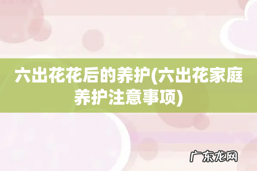 六出花家庭养护注意事项 六出花花后的养护