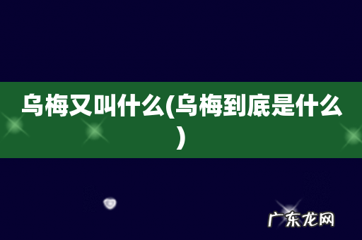 乌梅到底是什么 乌梅又叫什么