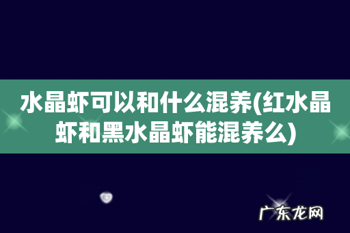 红水晶虾和黑水晶虾能混养么 水晶虾可以和什么混养