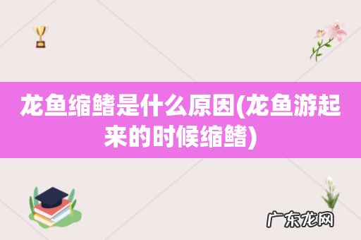 龙鱼游起来的时候缩鳍 龙鱼缩鳍是什么原因