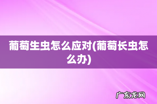 葡萄长虫怎么办 葡萄生虫怎么应对