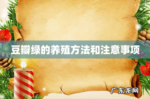 豆瓣绿的养殖方法和注意事项