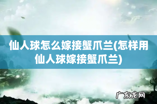 怎样用仙人球嫁接蟹爪兰 仙人球怎么嫁接蟹爪兰