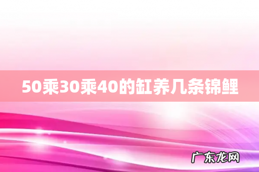 50乘30乘40的缸养几条锦鲤