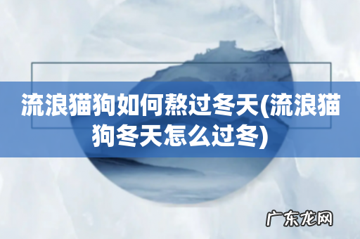 流浪猫狗冬天怎么过冬 流浪猫狗如何熬过冬天