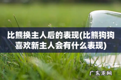 比熊狗狗喜欢新主人会有什么表现 比熊换主人后的表现