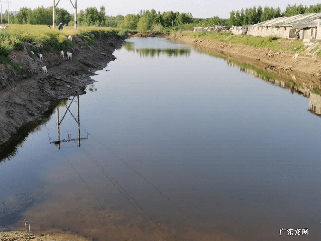 东平县老湖镇最新规划 东平县老湖镇的大事