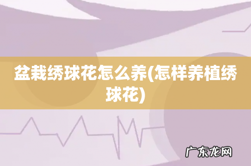 怎样养植绣球花 盆栽绣球花怎么养