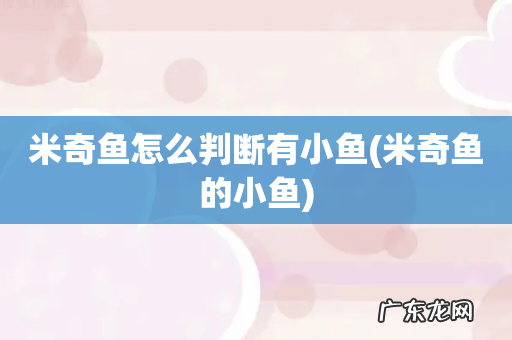 米奇鱼的小鱼 米奇鱼怎么判断有小鱼