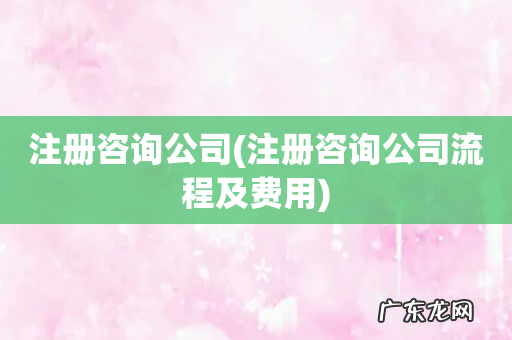 注册咨询公司流程及费用 注册咨询公司