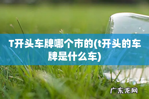 t开头的车牌是什么车 T开头车牌哪个市的