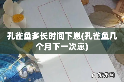 孔雀鱼几个月下一次崽 孔雀鱼多长时间下崽