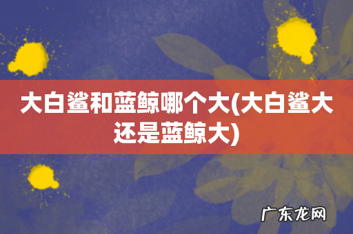 大白鲨大还是蓝鲸大 大白鲨和蓝鲸哪个大