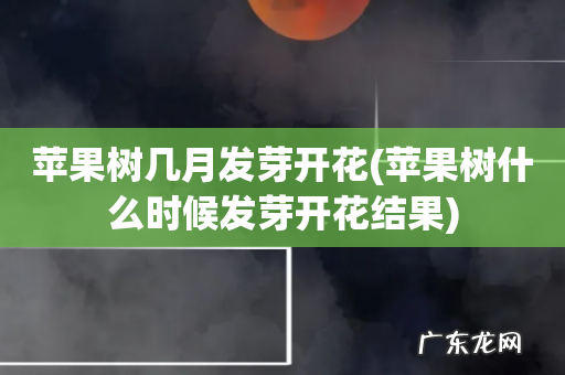 苹果树什么时候发芽开花结果 苹果树几月发芽开花