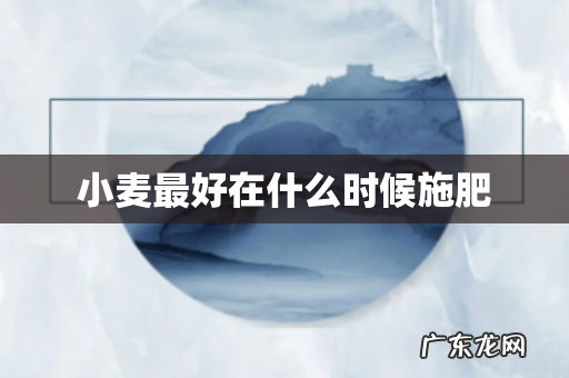 小麦最好在什么时候施肥