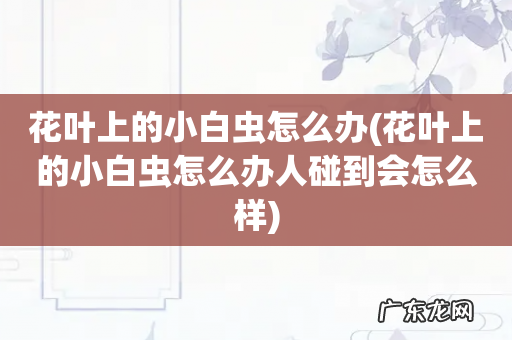 花叶上的小白虫怎么办人碰到会怎么样 花叶上的小白虫怎么办